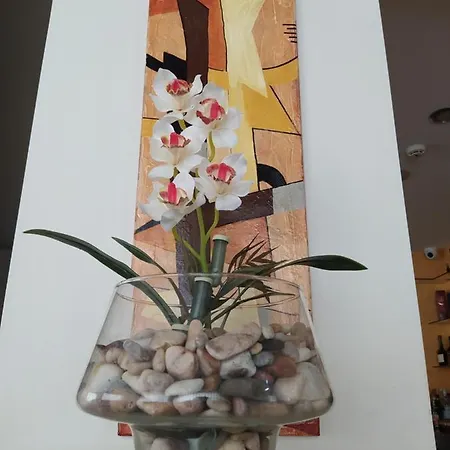 酒店 桑托康德斯塔维尔酒店 3*
