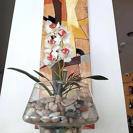 桑托康德斯塔维尔酒店 酒店 花地瑪